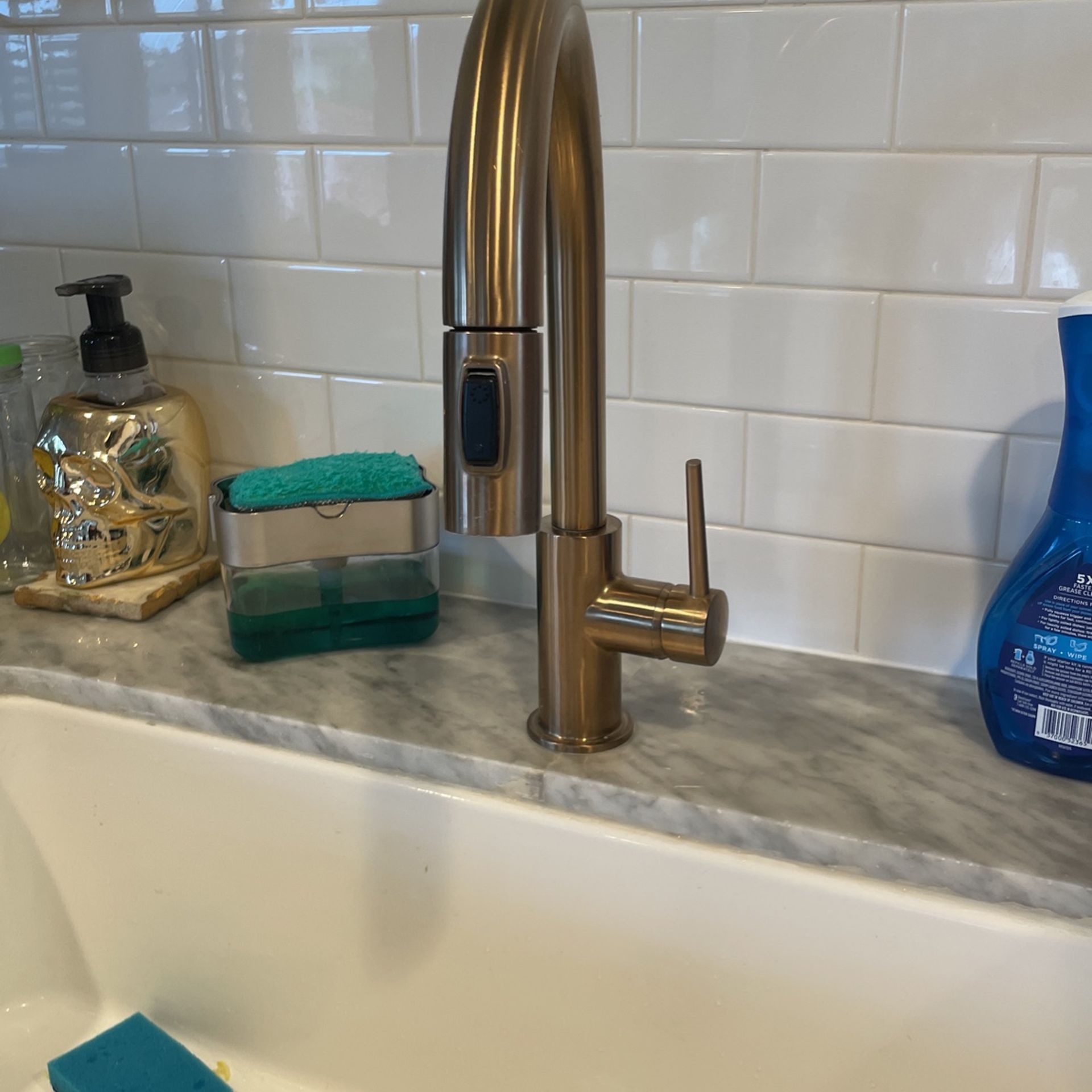 Gold Delta Kitchen Faucet