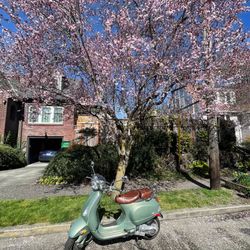 2007 VESPA LVX150