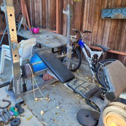 Olympic Size Bench With Squad And Curl Rest