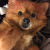 Itsy