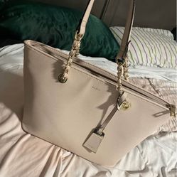 Aldo Purse 