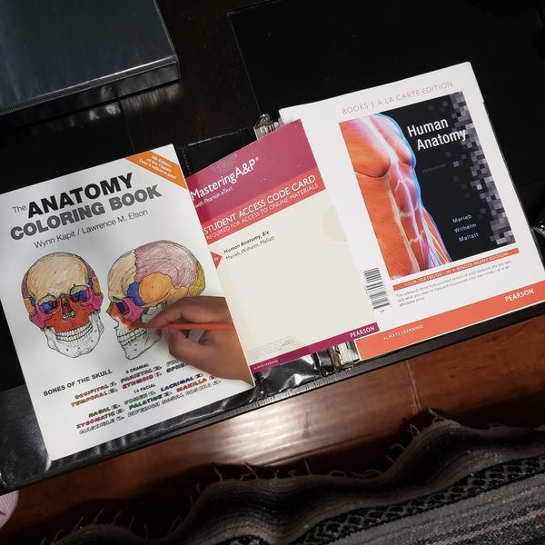 Human Anatomy Book Set