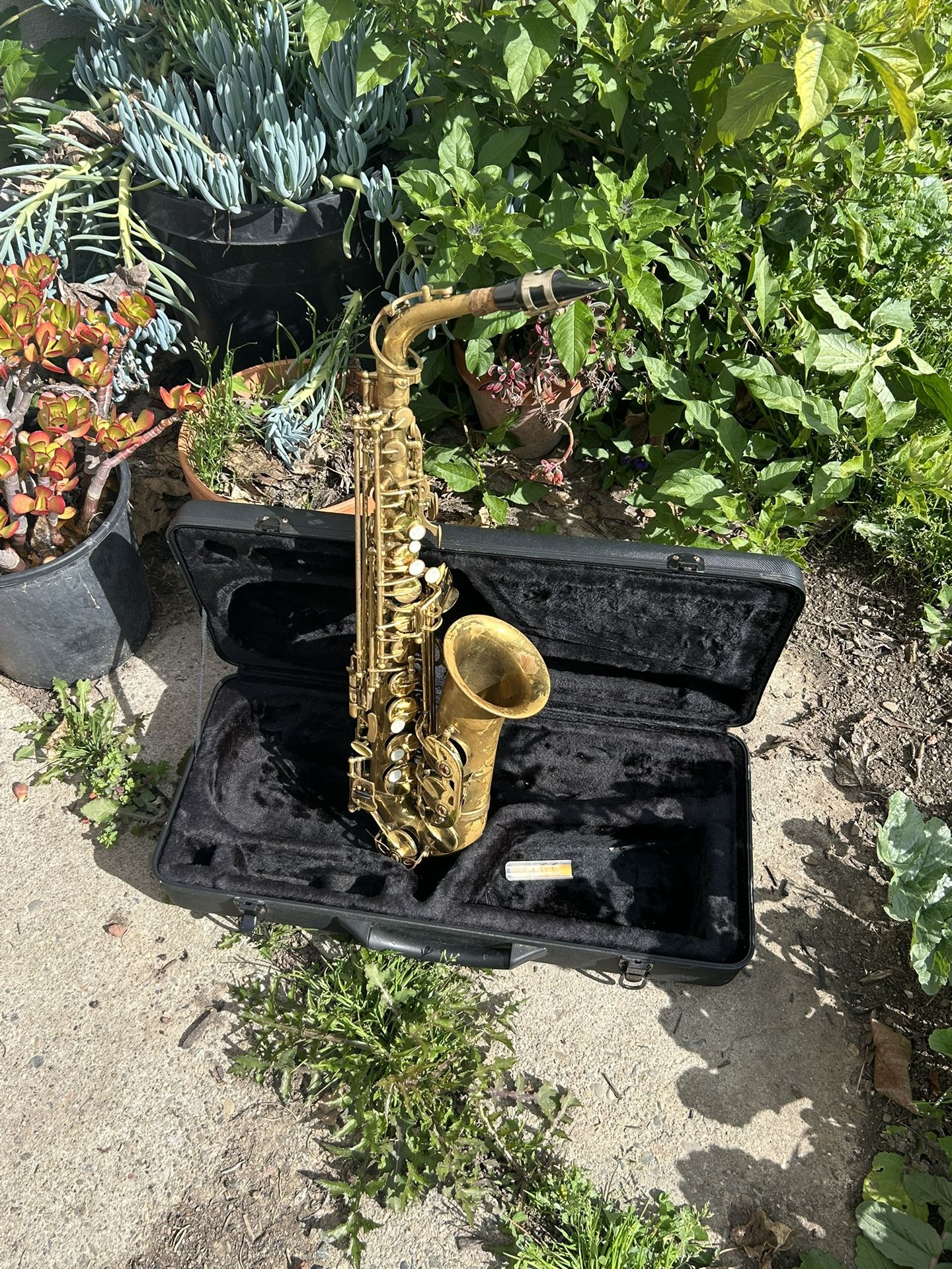 Nice 😃 Alto Saxophone 🎷