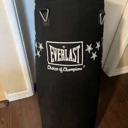 Everlast Punching Bag
