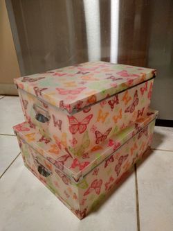 Set Of Two Butterfly Storage Containers
