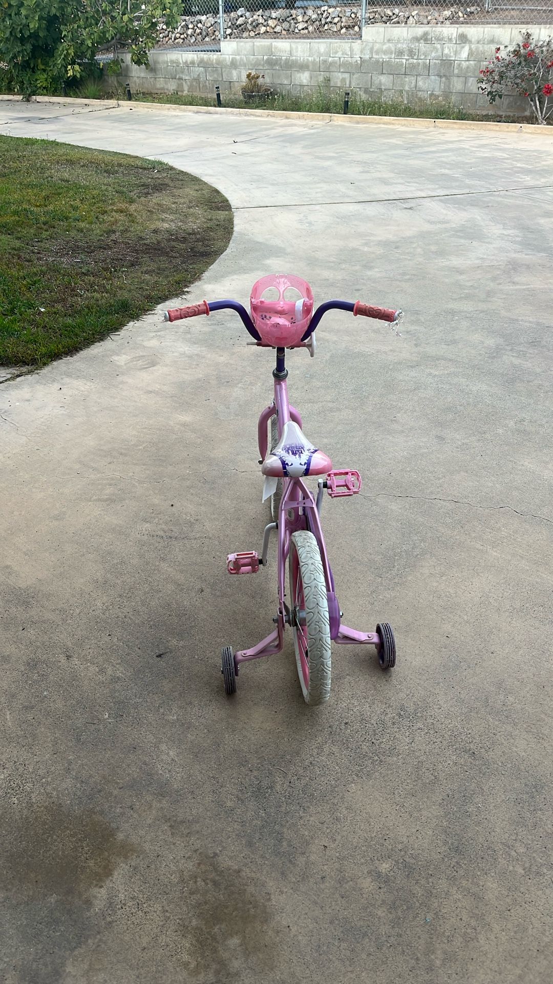 Girls Bike Disney With training Wheels