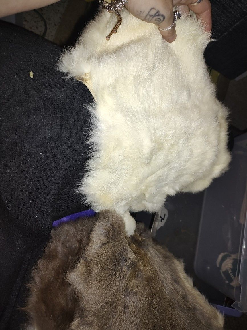 Lots Of Real Animals Furr Decorations