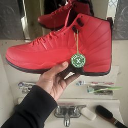 jordan 12 