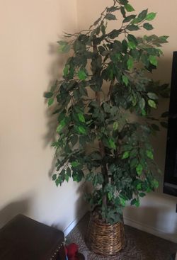 Tree: Home Decor