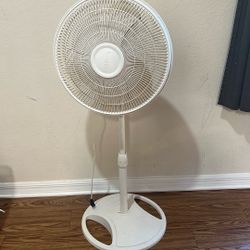 Fan