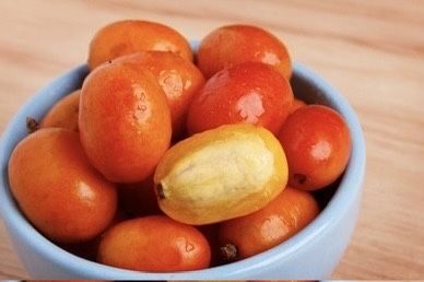 Red Hog Mombin Plum Spondias Tree