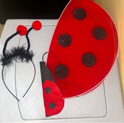 Costume ladybug wings