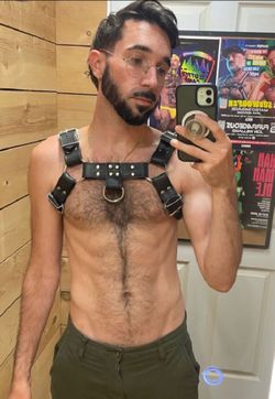 Real Leather Harness