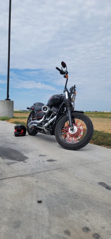 2019 Harley Davidson Fxbb street bob