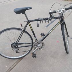 Schwinn World Sport 10 Speed