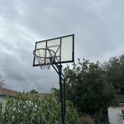 Basketball Hoop