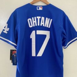 Dodgers Ohtani Blue Jersey Fully Stitched (Small To 3XL) 