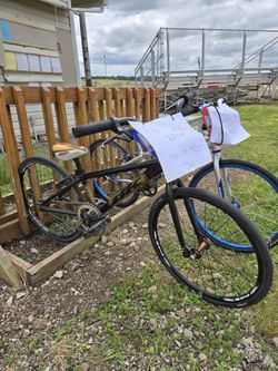 DK Junior Bmx Race Bike