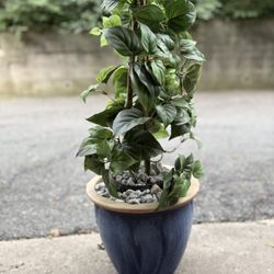 Faux Pothos Plant In Ceramic Blue Pot