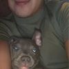 Junior