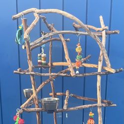 Parrot Perch Tree … All Natural And Great Design .., Breeder Direct Perch Trees … Low Wholesale Price! Delivery Avail ! 