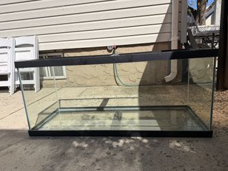 Fish Tank 75 Gallon