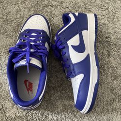 NIKE Dunks/Size 10 Men’s 