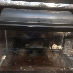 Fish Tank