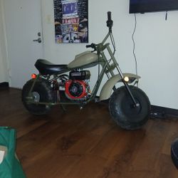 224 Predator 
