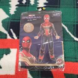 Spider Man Small 4-6