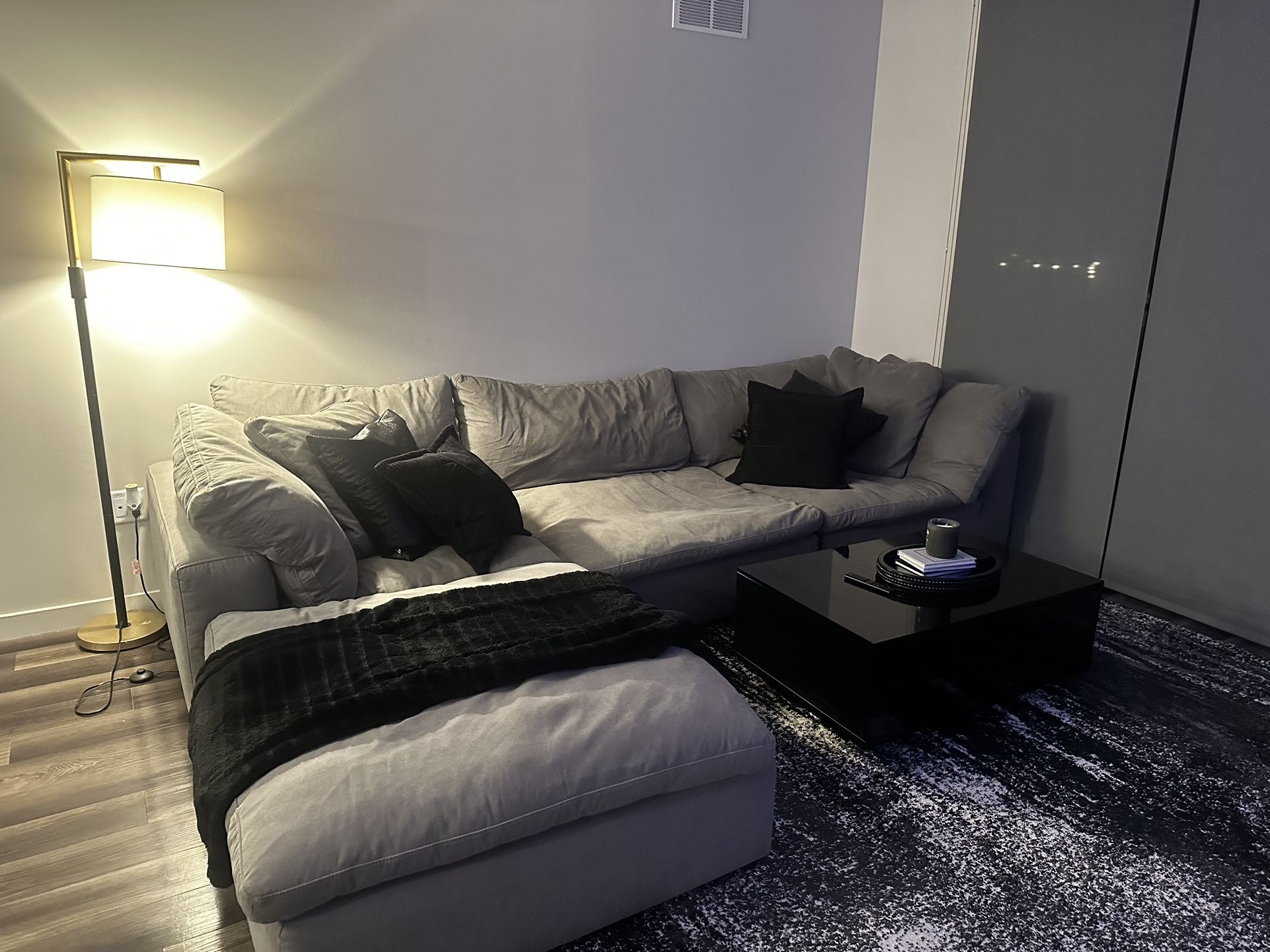 6 Months Old Couch