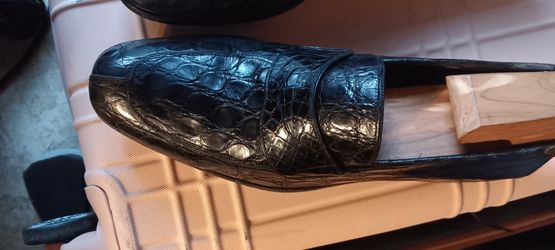 Salvador Ferragamo's Aligators