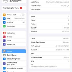 iPad Pro