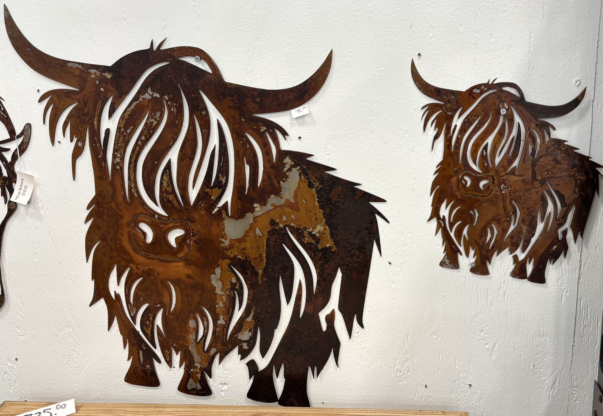 Highland Hills Cows