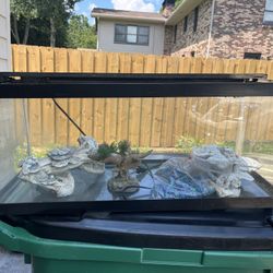 20-gallon Aquarium 