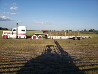 SOD BAHIA IN FLORATAM