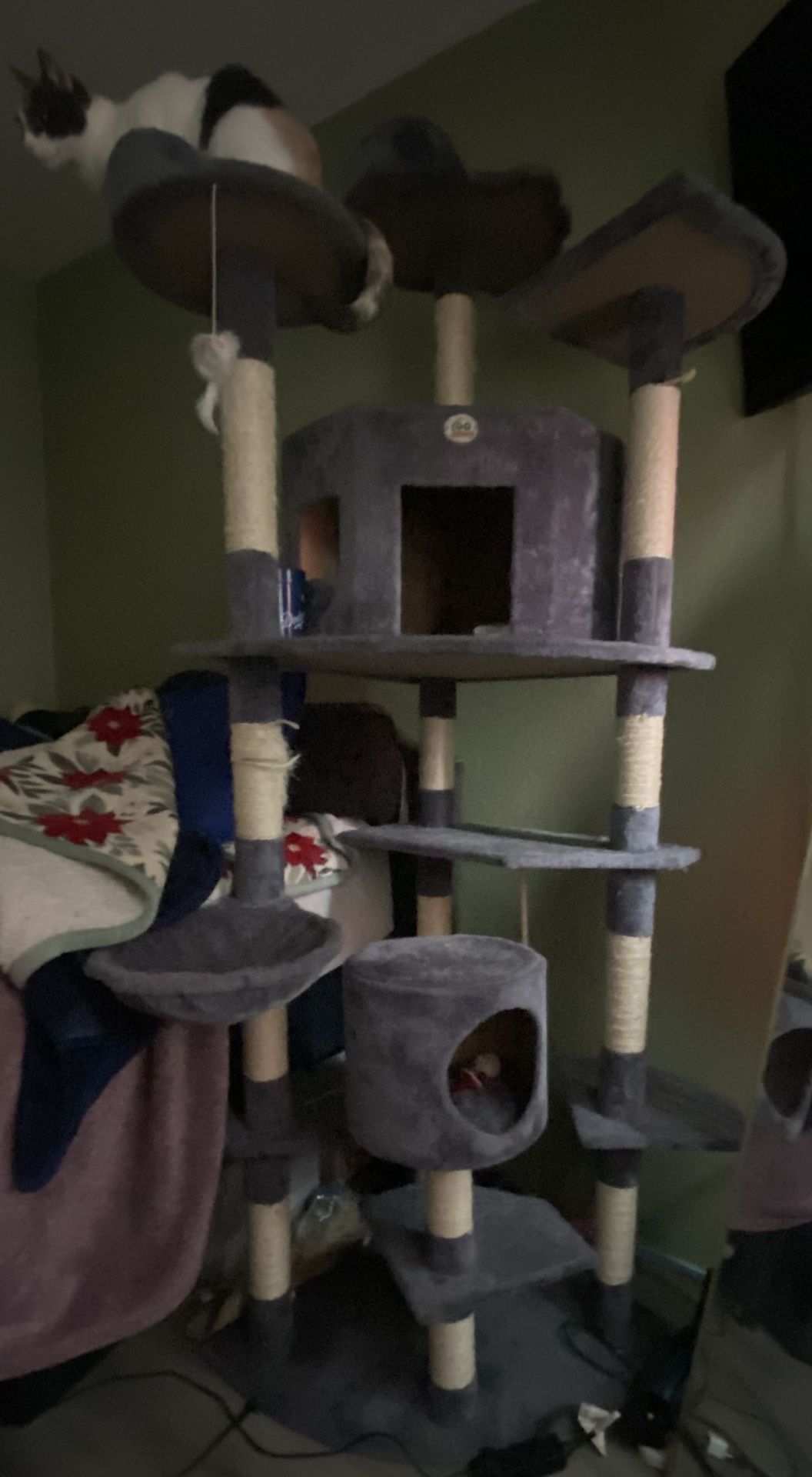 Tall Cat Tower