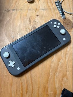 gray Nintendo Switch Lite