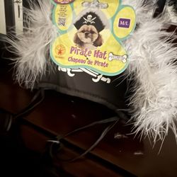 Dog Pirate Hat