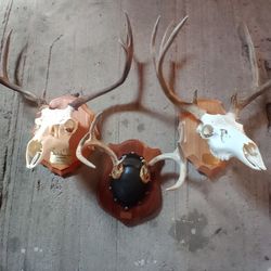 European Mount Deer Mounts