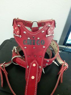 Dog Harness 100%leather with spikes and name heavy duty M,L,XL (pecheras para perros grandes resistentes puro cuero grueso vaqueta)