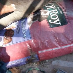 One Bag Of Dogfood $20 Lancaster's TX Pick Up 