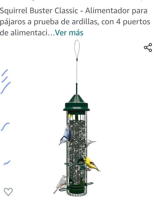 Squirrel Buster Para Pajaritos