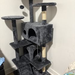 Cat Tree 