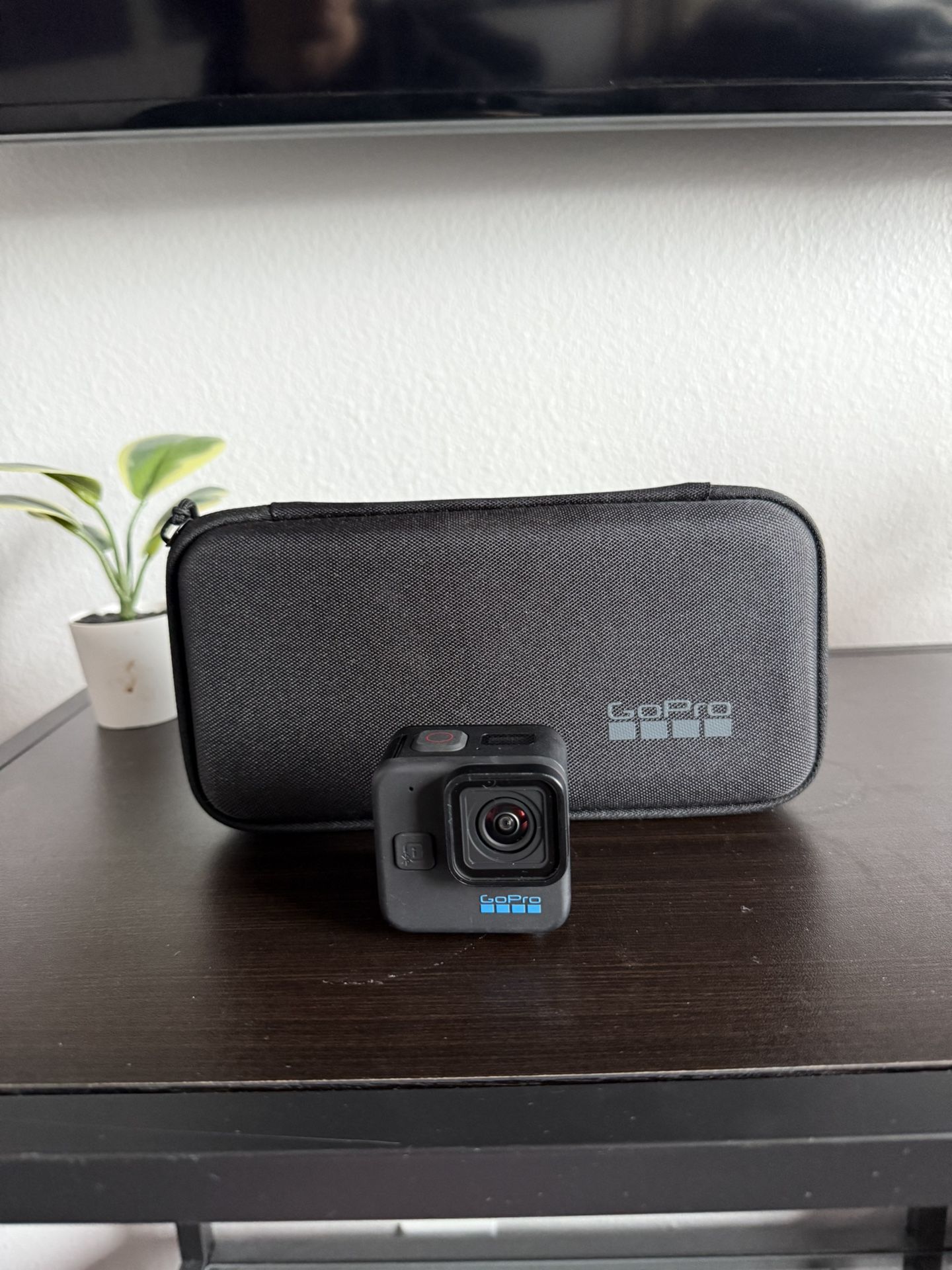 GoPro Hero11 Mini