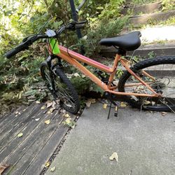 Bike Nishiki 