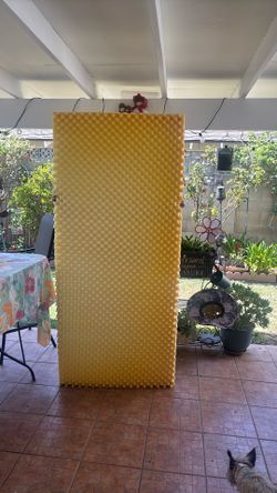 2 twin Foam Mattress Toppers