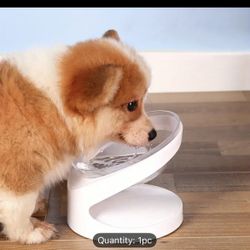 Ergonomic Tilted Pet Bowl for Cats and Small Dogs - 