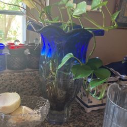 Beautiful blue flower vase  