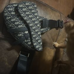 Christian Dior Purse 